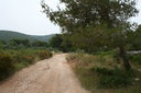 gal/cro 08/_thb_small-IMG_4531.JPG